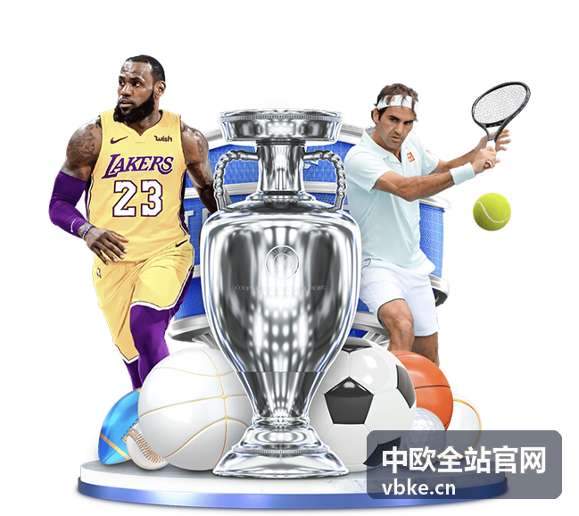 中欧全站官网双边合规与认证支持